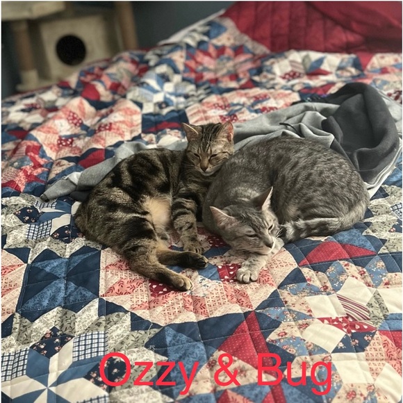 Please read 💚 - Picture 8 of 14